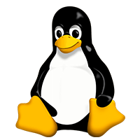 NDG Linux Essentials
